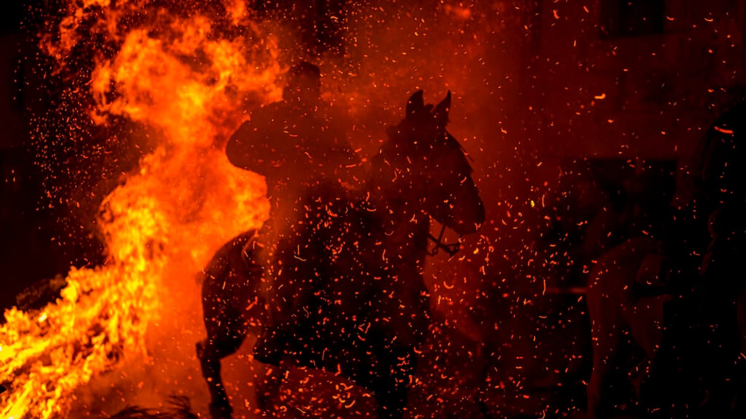 Localidade de San Bartolomé de Pinares recebe tradicional ritual de purificação de animais 