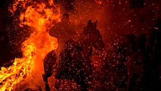 Localidade de San Bartolomé de Pinares recebe tradicional ritual de purificação de animais 
