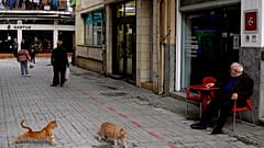 Κύπρος