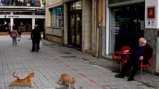 Φωτό αρχείου