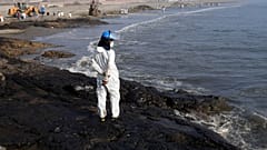 Спасатель на побережье Вентанильи после разлива нефти, 17 января 2022 г.