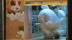 Tiergeschäft in Hongkong, in dem mehrere Hamster mit dem Coronavirus infiziert waren
