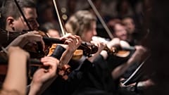 Choir of Earth, Orchestra of Earth and a gang of soloists will all perform the famous "Mahler's 8th" on January 22nd