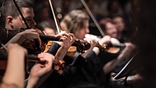 Choir of Earth, Orchestra of Earth and a gang of soloists will all perform the famous "Mahler's 8th" on January 22nd