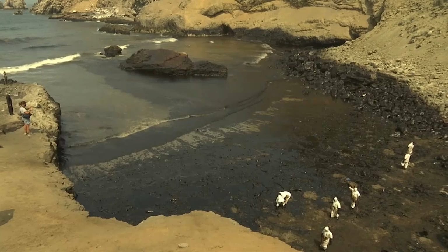 El vertido ha afectado no solo a las costas, también a su flora y fauna