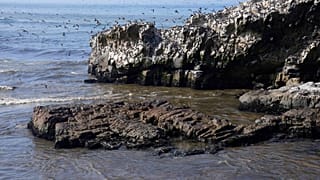 Πετρελαιοκηλίδα στις ακτές του Περού από το τσουνάμι στην Τόνγκα