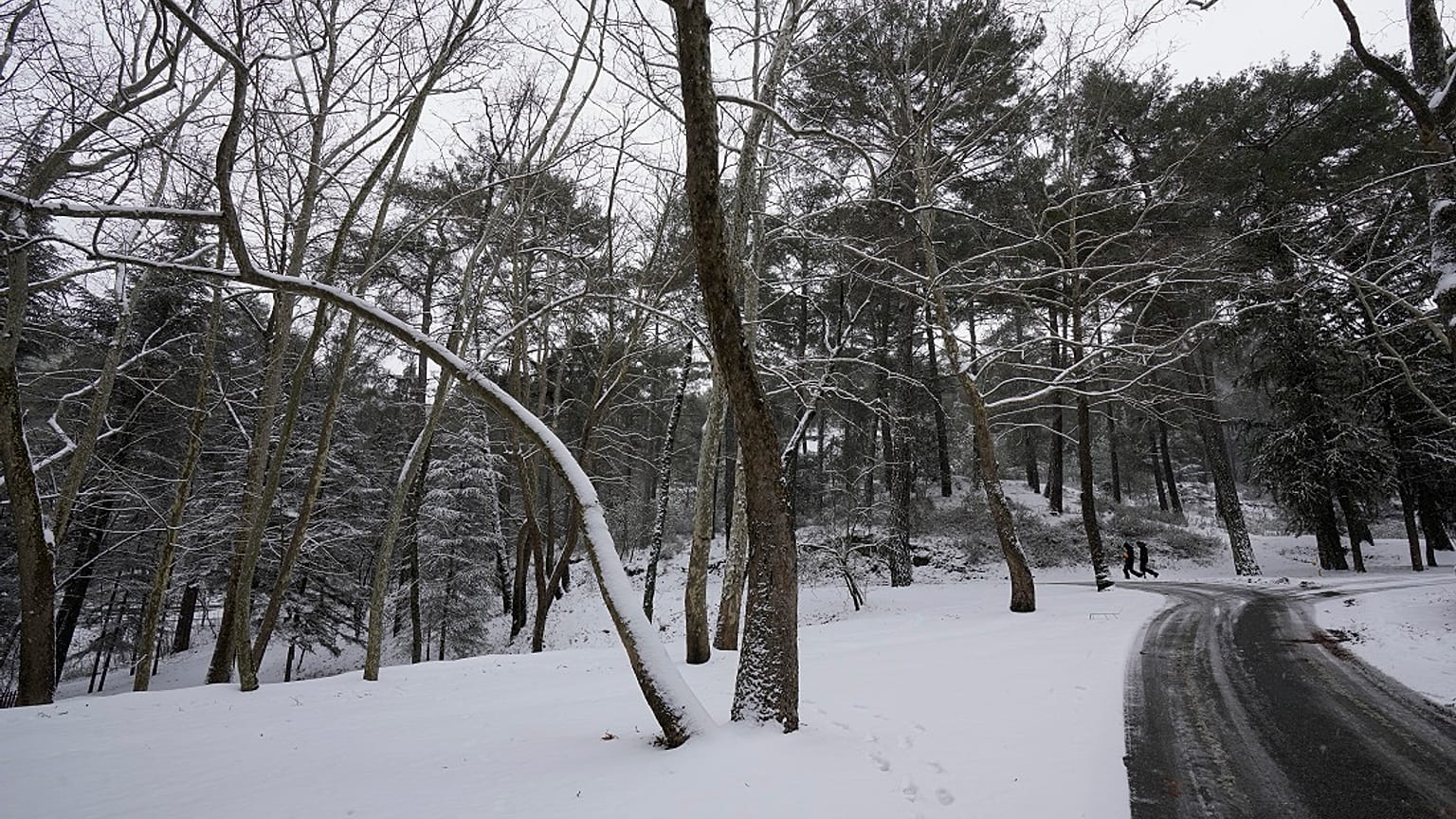 Eine Winterlandschaft im Troodos-Gebirge auf Zypern