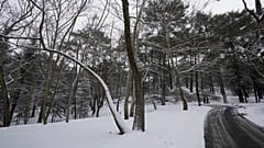 Eine Winterlandschaft im Troodos-Gebirge auf Zypern