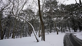 Eine Winterlandschaft im Troodos-Gebirge auf Zypern