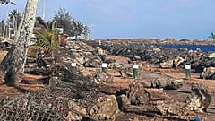 Una zona dañada en Nukualofa​, Tonga, el 20 de enero de 2022, tras la erupción volcánica del sábado cerca del archipiélago del Pacífico.