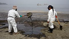 Des personnes nettoient la plage de Conchitas à Ancon, Pérou, le 20 janvier 2022