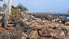 Tsunami sonrası Tonga'da büyük yıkım meydana geldi
