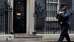 A police officer walks past 10 Downing Street while Larry the Cat, Britain's Chief Mouser to the Cabinet Office, sits on the pavement in London, Jan. 11, 2022. 
