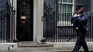 A police officer walks past 10 Downing Street while Larry the Cat, Britain's Chief Mouser to the Cabinet Office, sits on the pavement in London, Jan. 11, 2022.