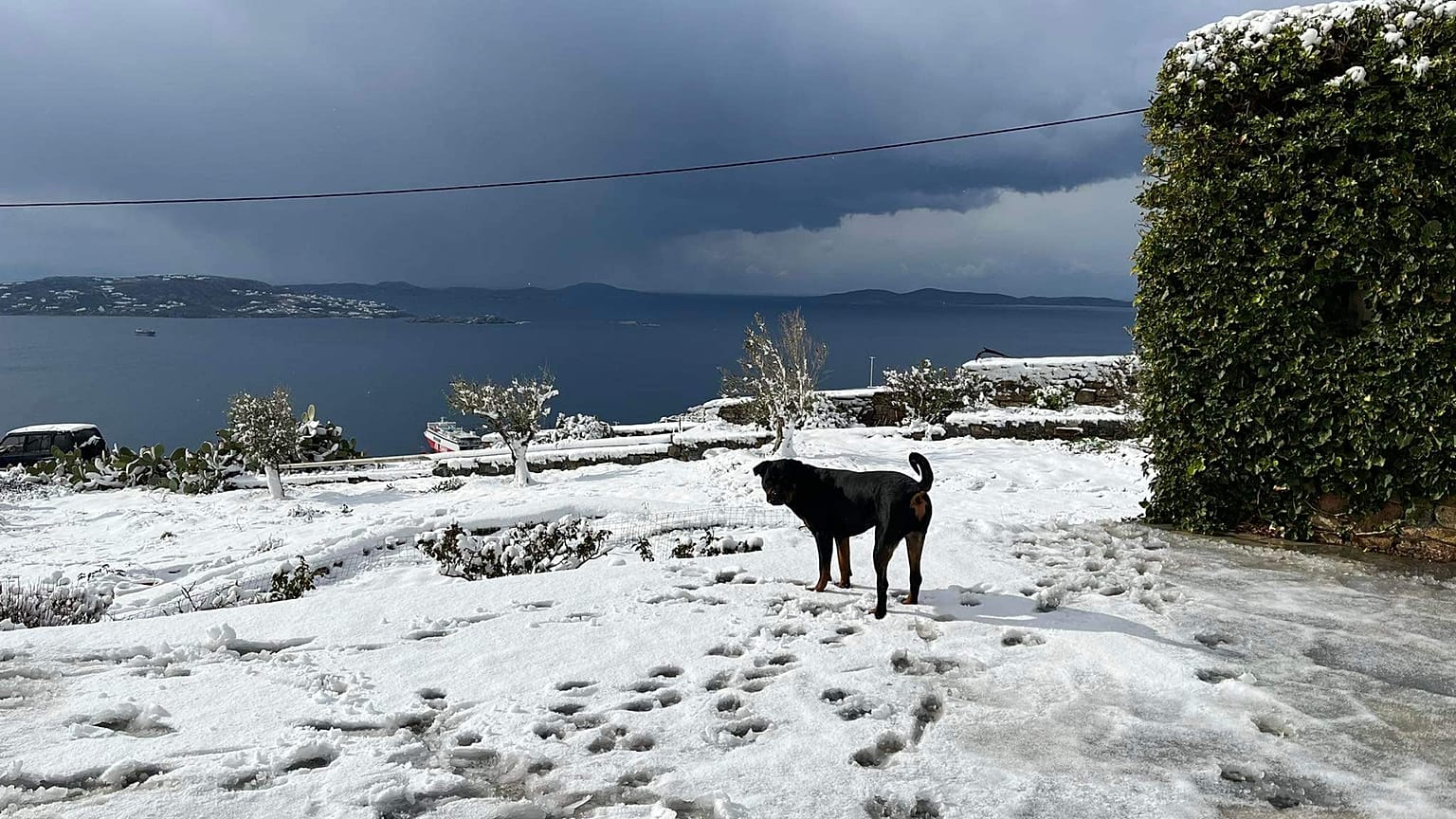 Χιονόπτωση