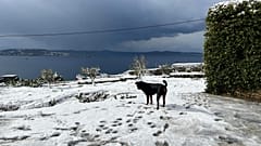 Χιονόπτωση