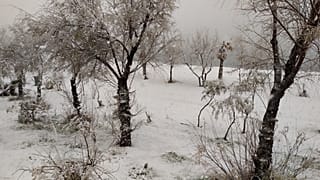 Χιονόπτωση