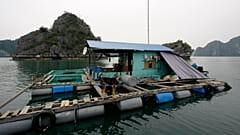 Floating houses could be the future of keeping floods at bay.