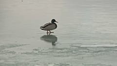 La superficie del lago ghiacciato 