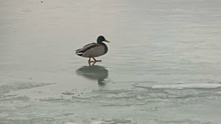 La superficie del lago ghiacciato 