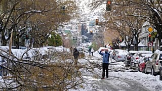 Πεσμένα δέντρα στην Αθήνα