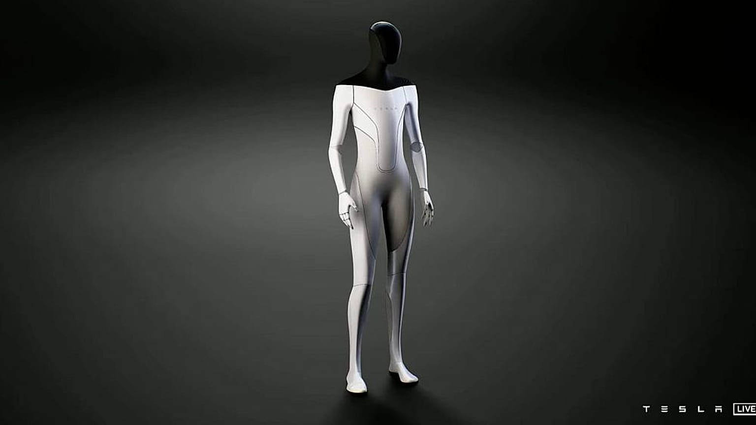 Tesla Bot