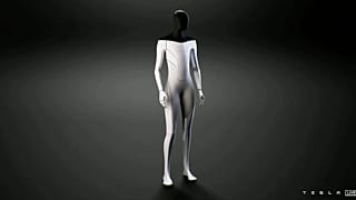 Tesla Bot
