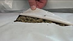 5 Männer mit 87 Säcken Marihuana in Serbien festgenommen