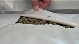 Detidos cinco homens em apreensão de droga na Sérvia 