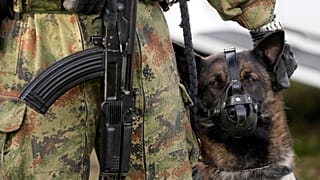 В Белграде заявляют, что вооружаются не для того, чтобы кого-то обогнать, а чтобы не отстать