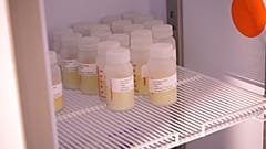 Muttermilch für Neugeborene in Uganda