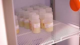 Muttermilch für Neugeborene in Uganda