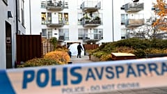 Well-known Swedish rapper Einar was shot dead in a Stockholm district last year.