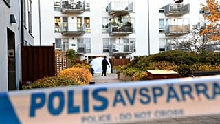 Well-known Swedish rapper Einar was shot dead in a Stockholm district last year.