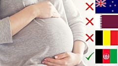 عکس تزیینی است