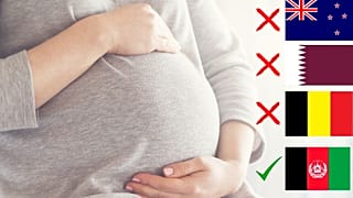 عکس تزیینی است