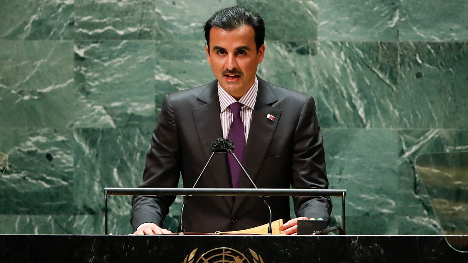 أمير قطر تميم بن حمد آل ثاني 