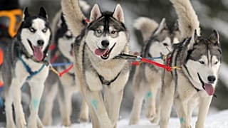 Участники аналогичных гонок "Завируха" в Беларуси