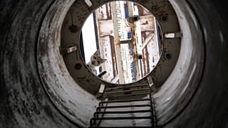 Котёнок забрался на рекламный столб