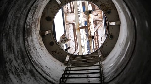 Котёнок забрался на рекламный столб