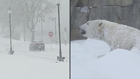 Chaos nach Wintersturm im Mittleren Westen der USA 