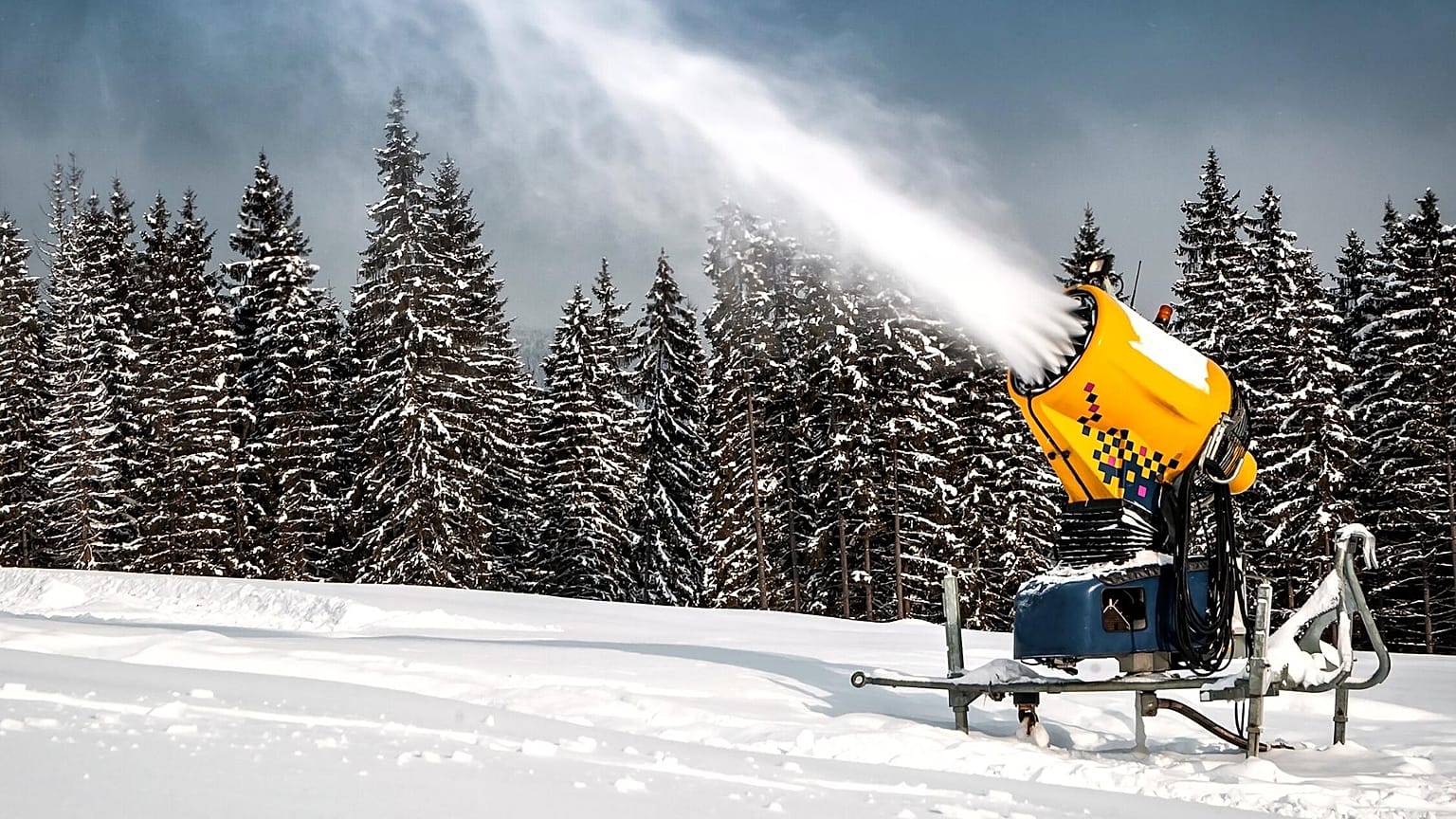 By 2050, only 10 of the past 19 Winter Olympics venues will be able to host winter sport activities
