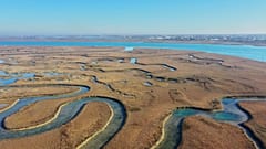 Feuchtgebiete: eine Geheimwaffe der Natur gegen den Klimawandel?