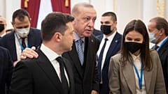 Реджеп Тайип Эрдоган и Владимир Зеленский в ходе встречи в Киеве 3 февраля 2022
