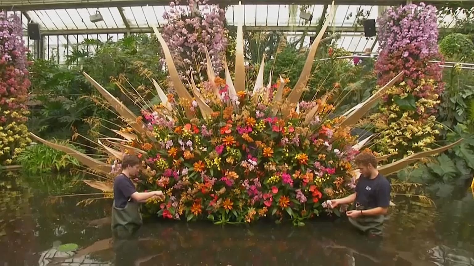 Londres recebe exposição de orquídeas com a Costa Rica em pano de fundo