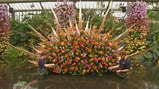 Londres recebe exposição de orquídeas com a Costa Rica em pano de fundo