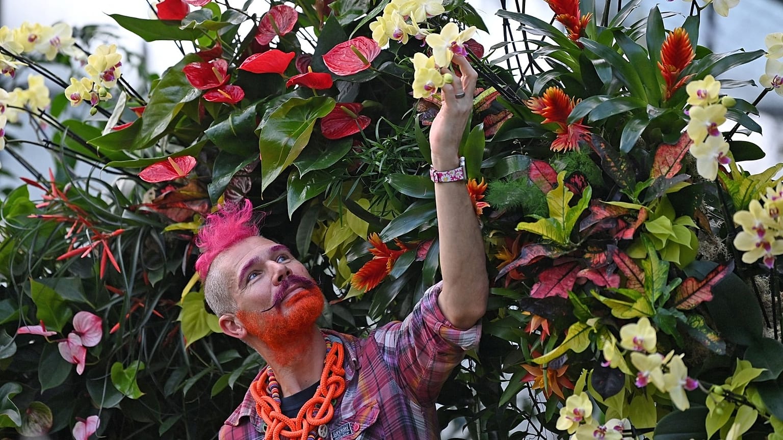 Kew Gardens' 26th orchid festival will celebrate the rich and colourful culture of Costa Rica