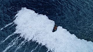 Selon l'ONG Sea Shepherd, plus de 100 000 poissons morts ont été rejetés à la mer à 300 km de La Rochelle