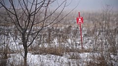 Minefields separate the areas controlled by the Ukrainian military and pro-Russian separatists.