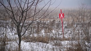 Minefields separate the areas controlled by the Ukrainian military and pro-Russian separatists.